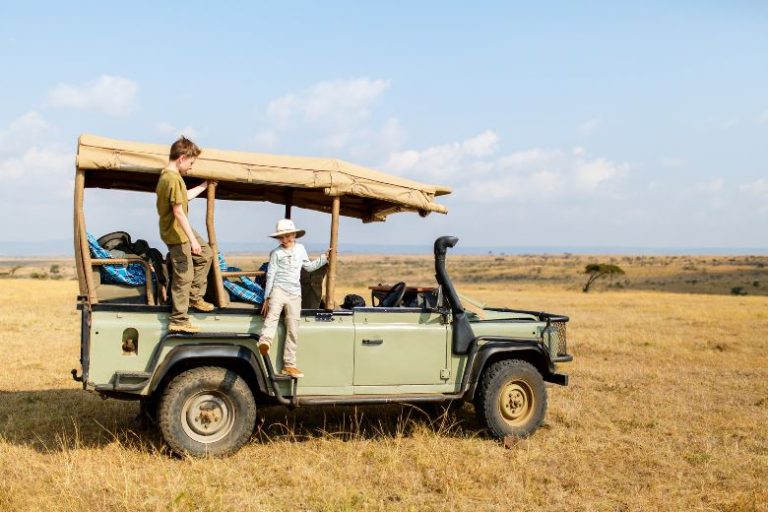 Nature Immersion Safaris: Experience the Wild Like Never Before