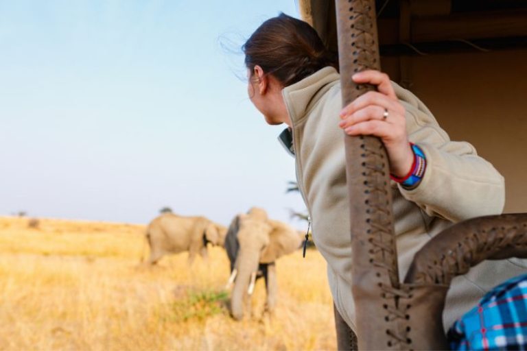 Discover the Magic of Small Group Safaris